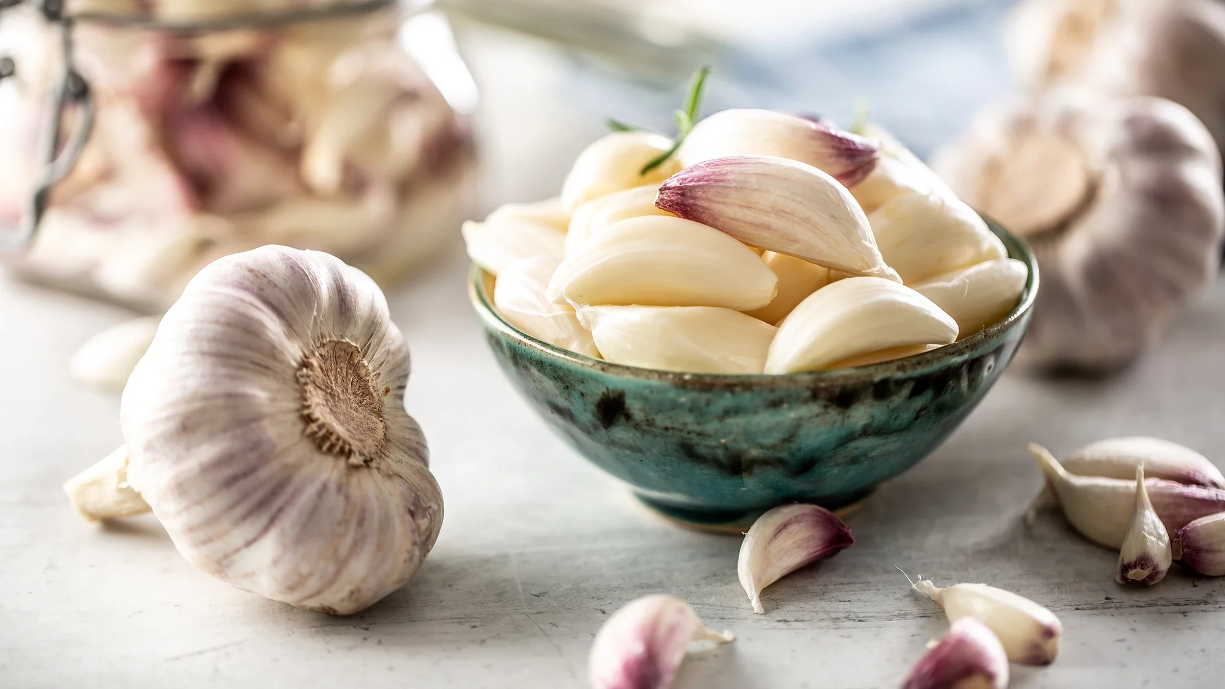 Garlic in gut health: prebiotic modulation and gastrointestinal microbial balance